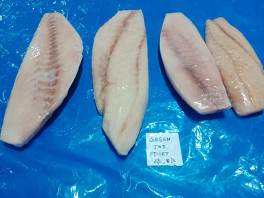 Green Job Fillet