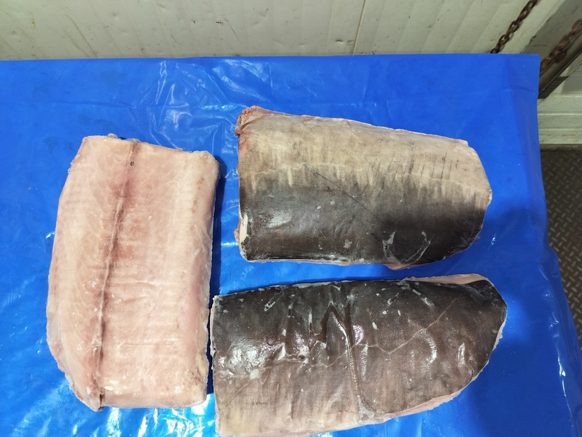Swordfish Loins